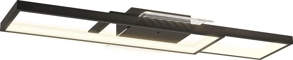 Luminaire Plafonnier Design Noir pour Salon et Salle à Manger 43W