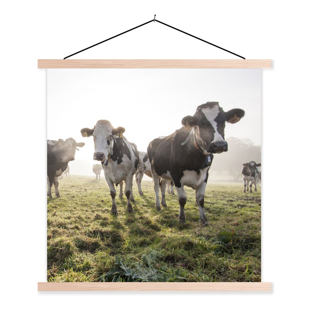 MuchoWow Textilposter Kühe - Licht - Gras - Tiere 120x120 cm mit holzfarbenen Rahmen - Textil-Poster