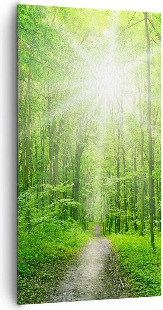 Bild auf Leinwand - Leinwandbild - Sonnenstrahlen Wald Sommer - 65x120cm - Wand Bild - Wanddeko - Leinwanddruck - Bilder - Kunstdruck - Wanddekorat...