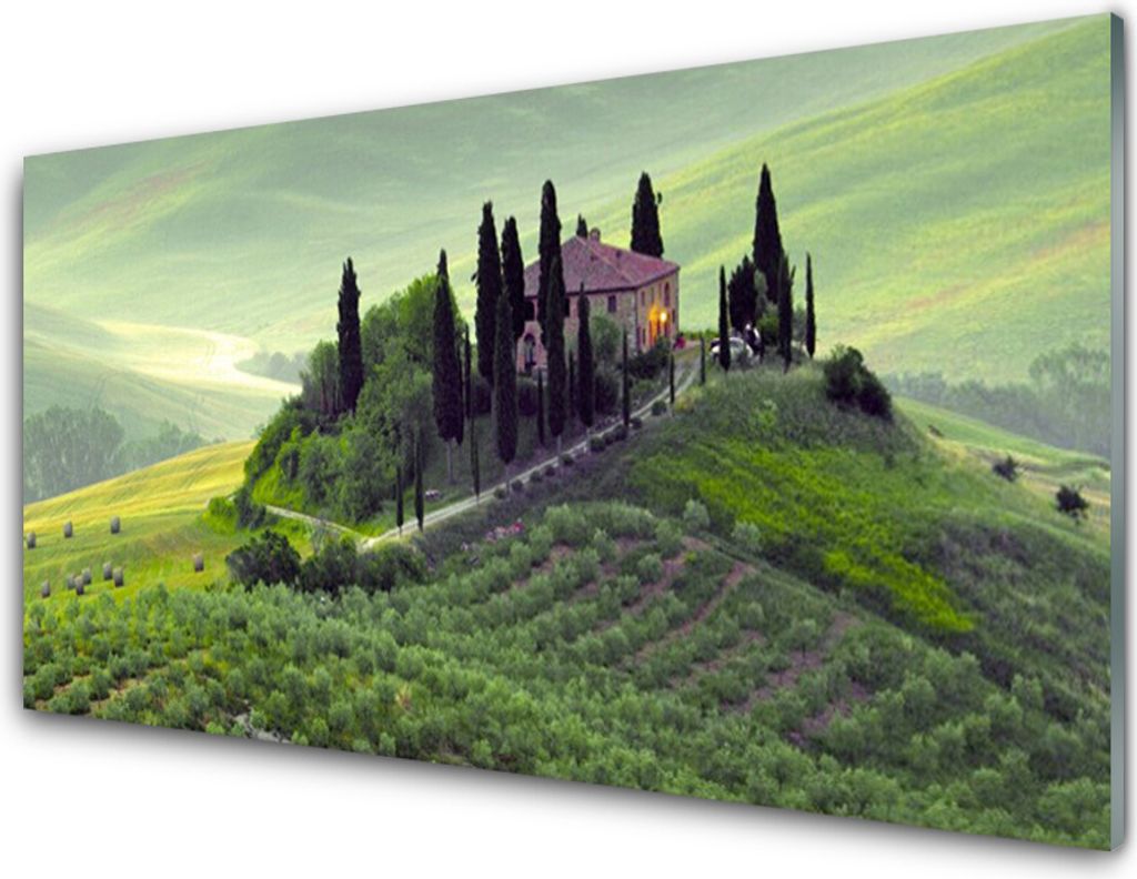 Acrylglasbilder 100x50 Wandbild Druck Wiese Bäume Natur Produktbild 