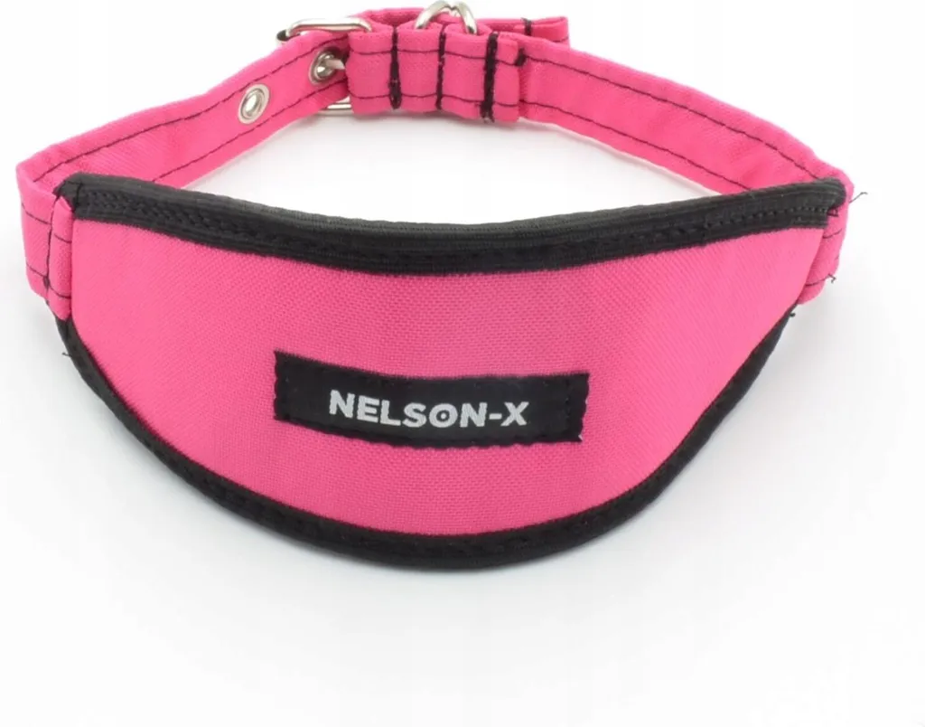Nelson-X Collare Levriero Ferro 41-49cm - Sicurezza Professionale