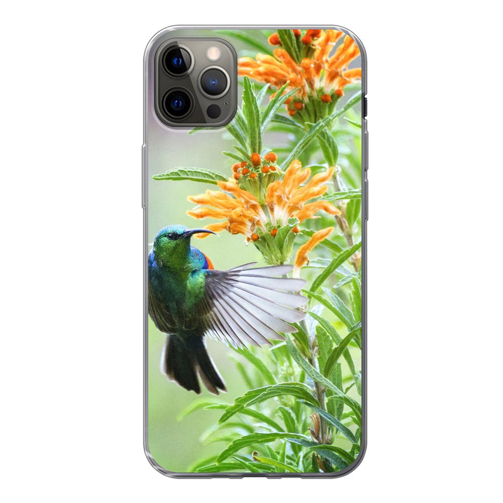 MuchoWow Handyhülle Schutzhülle Hülle für iPhone 12 Pro Max Nahaufnahme eines bunten Vogels neben Pflanzen mit orangefarbenen Blüten Silikon...