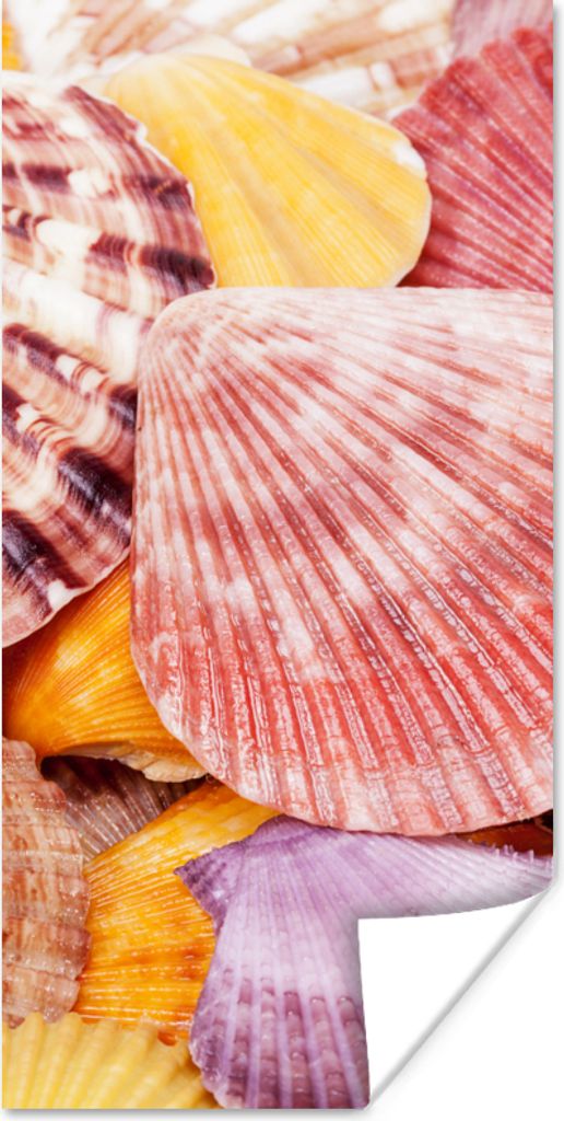 MuchoWow Poster Muscheln - Rot - Gelb - Strand - Sommer 75x150 cm - Dekoration für die Wände