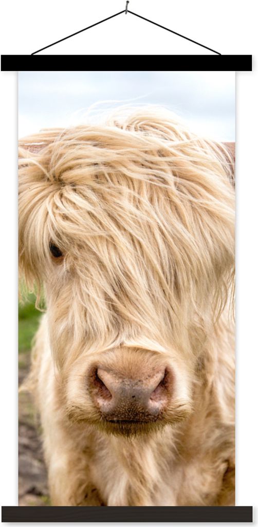 MuchoWow® Textilposter Schottische Hochlandrind - Licht - Produktbild 