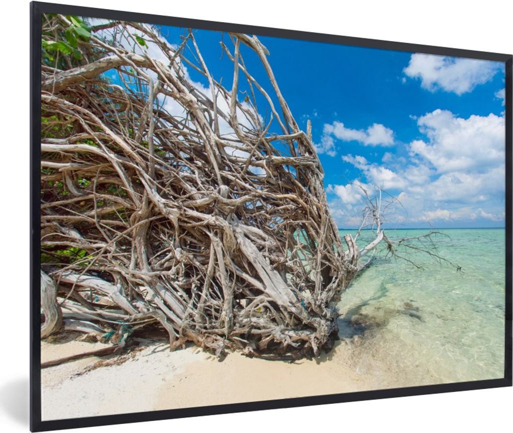 MuchoWow Gerahmtes Poster Strand - Äste - Tropisch - Meer 30x20 cm - Poster mit Schwarzem Bilderrahmen Wandposter Rahmen Foto Bilder - Kunstdruc...