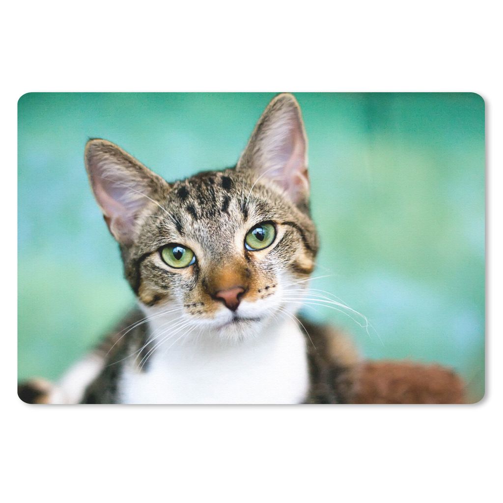 MuchoWow Schreibtischunterlage Katze - Porträt - Augen 60x40 cm - XXL Mauspad - Großes Mauspad