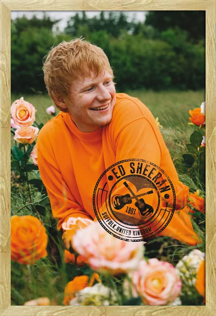 Poster Ed Sheeran avec Cadre Shinsuke Hêtre contre Poussière et Usure