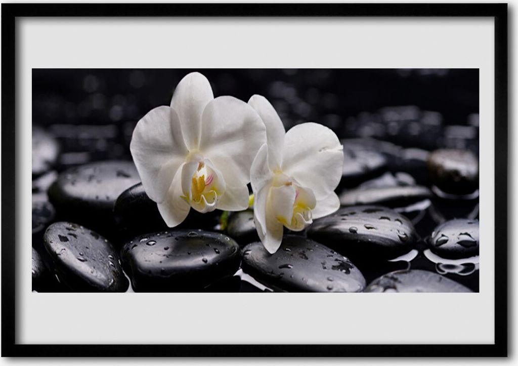 Bild 100x70 MDF-Rahmen Wandkunst Zen White Orchid Spa