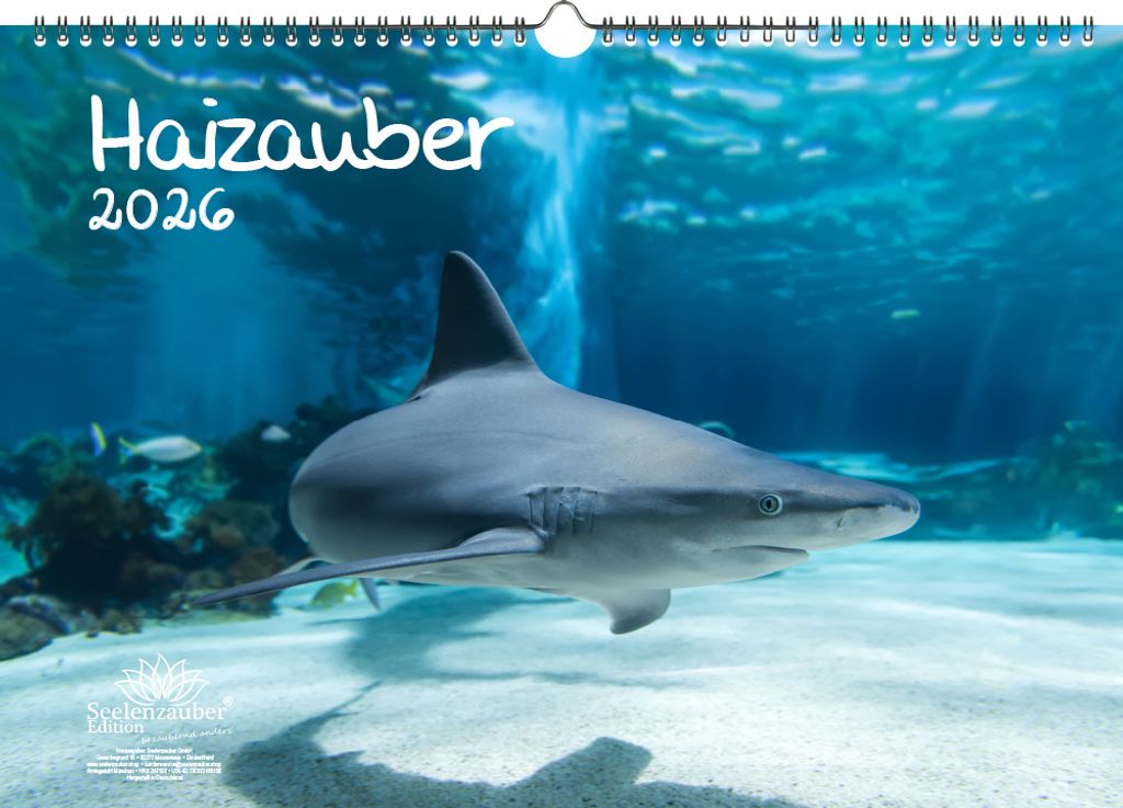 Haizauber DIN A3 Kalender für 2026 Hai - Seelenzauber