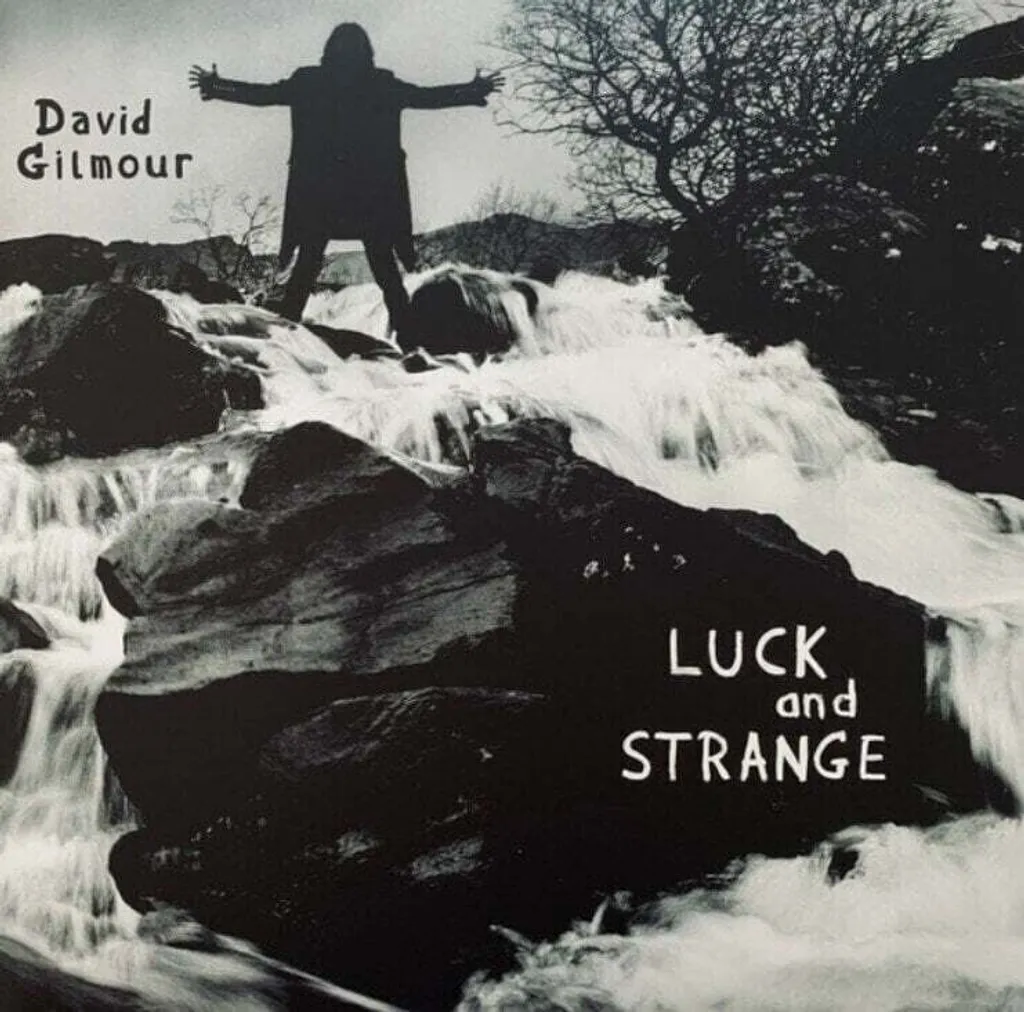 Album David Gilmour Luck And Strange Vinyle Argent pour Platine HiFi