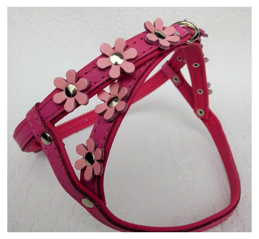 (120cm) + Geschirr (40-46cm) - Blümchen Echtleder Rossa-Pink