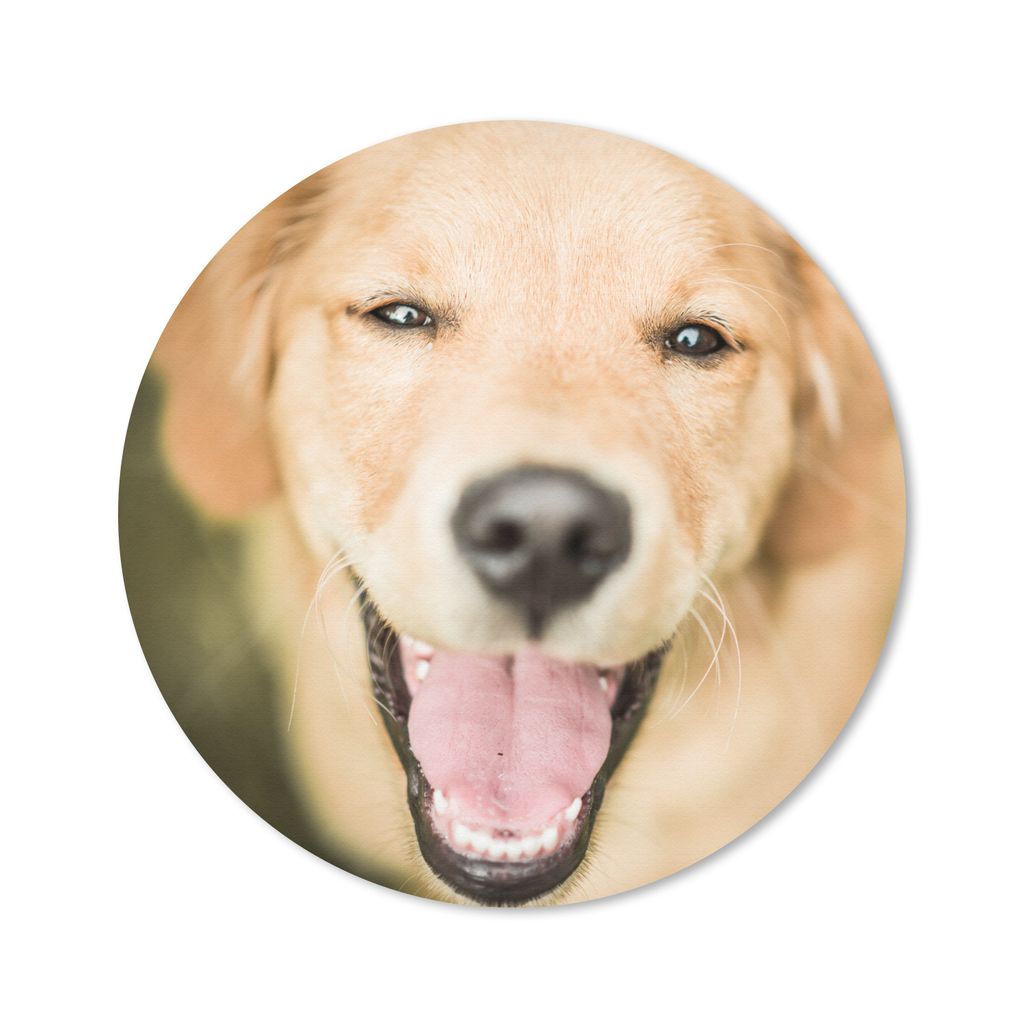 MuchoWow Mauspad Mousepad Das Glitzern in den Augen dieses Labrador Retrievers 30x30 cm - Mousepads - Maus Mat - Pad - Mausunterlage - Tischunter...