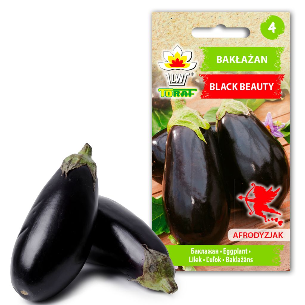 Aubergine Samen Schwarze Schönheit Lila Birne Der Liebe 1G Produktbild 