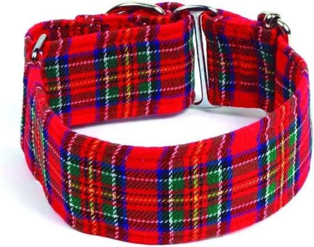Collier chien 4 cm motif écossais taille L idéal pour balade et confort