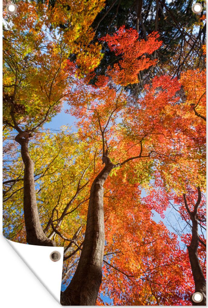 MuchoWow 60x90 cm Outdoor-Poster Gartendeko Sichtschutz Garten Poster für den Garten Roter Ahorn im Herbst in Japan