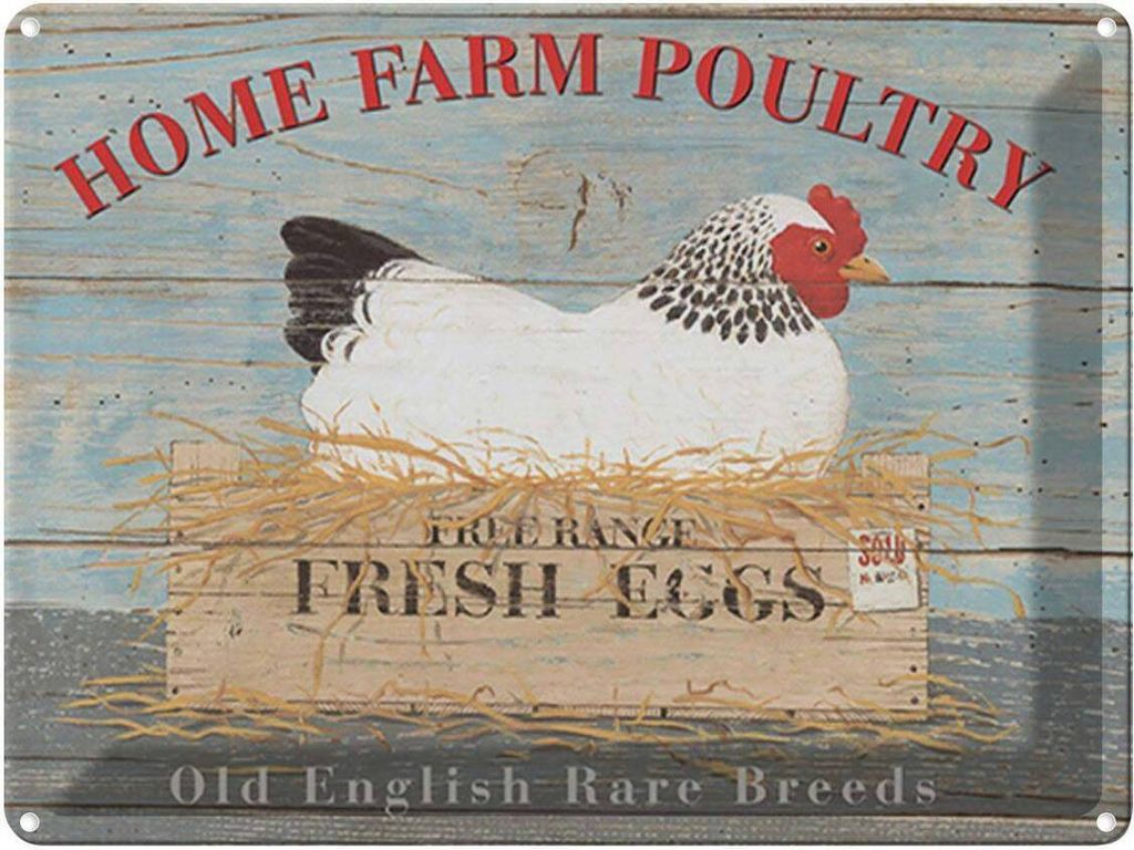 vianmo Blechschild 30x40 cm Home farm poultry fresh eggs