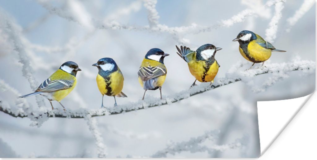 MuchoWow Poster Vogel - Kohlmeise - Winter - Schnee - Zweige 150x75 cm - ohne Rahmen