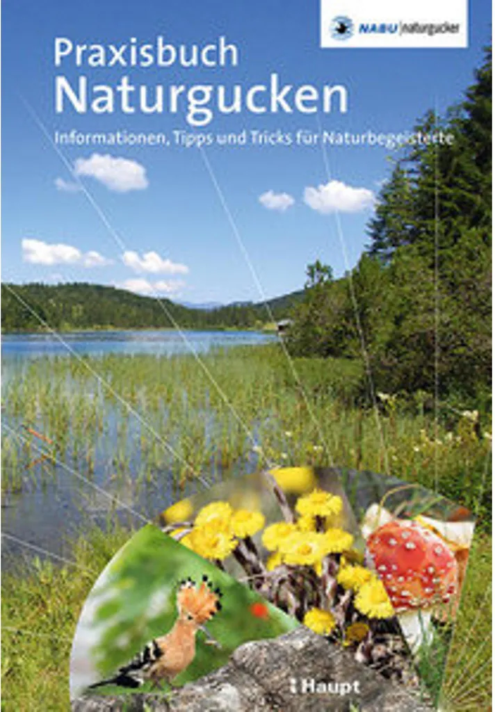 Réussir vos Observations Nature : le Guide Praxisbuch contre l'Échec