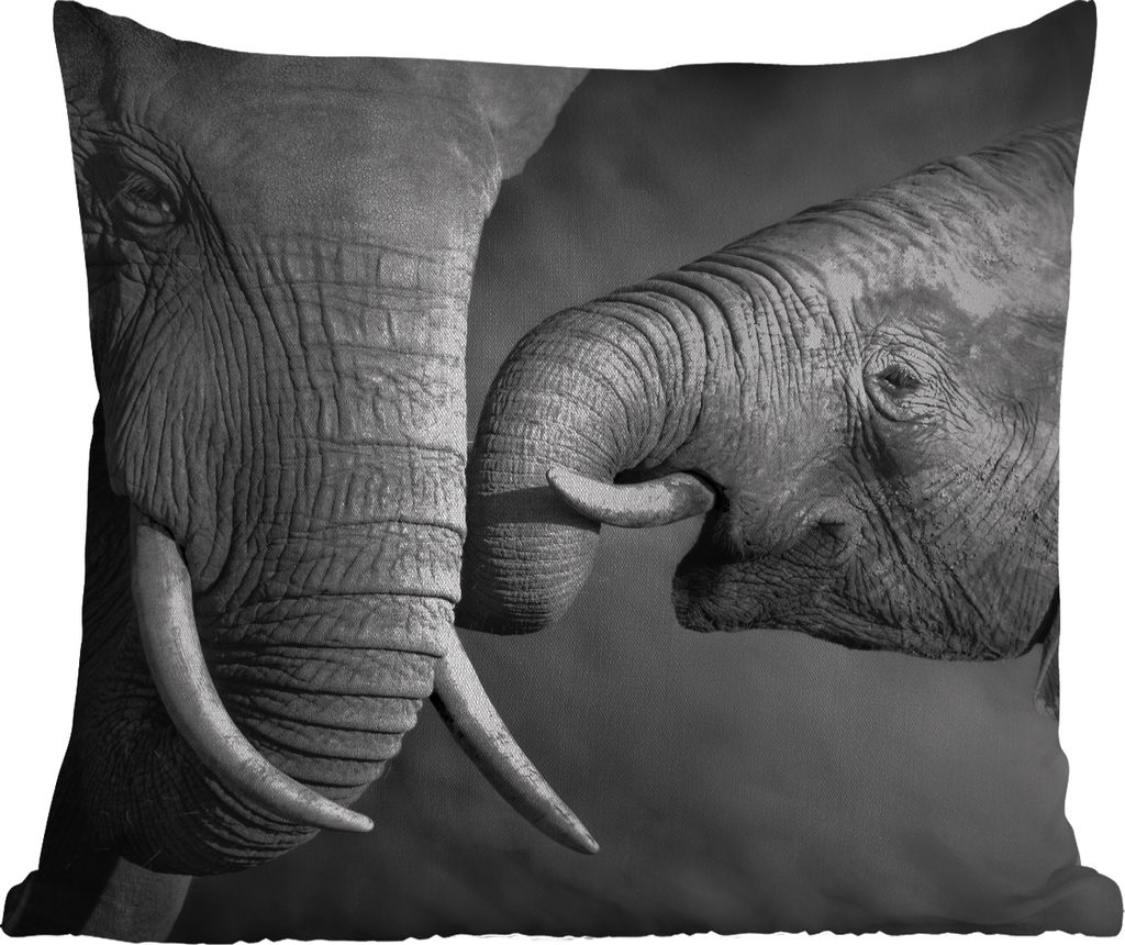 MuchoWow Outdoor Kissen - Wildtiere - Elefant - Schwarz - Weiß - Porträt - 45x45 cm - Wetterfest - Lounge Kissen - Fotokissen - Dekoratives Kissen