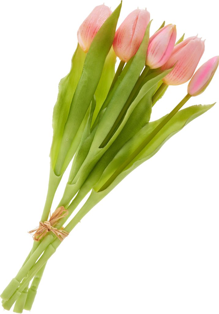 Tulpen Bund mit 3 Blüten und 2 Knospen, L ca. 31 cm Light Rose