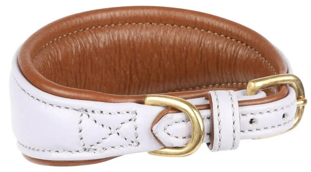 Digby & Fox - Hundehalsband für Windhunde, Leder, Wattiert Produktbild 