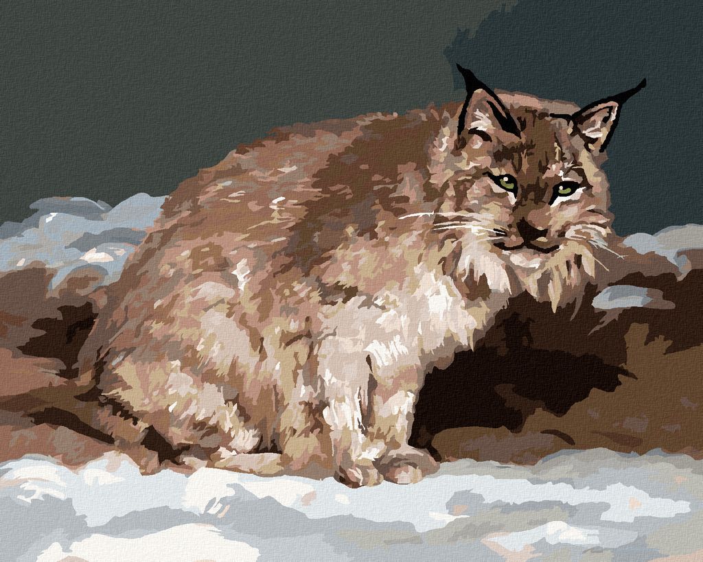 Zuty - Malen nach Zahlen - LUCHS IM WINTER (D. RUSTY RUST), 40x50 cm, ohne Keilrahmen