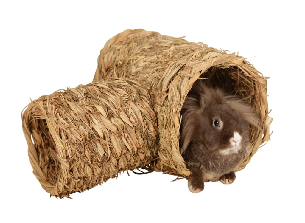 Tube d'herbe en 2 parties ø 18x24 cm et ø 24x30 cm pour rongeurs