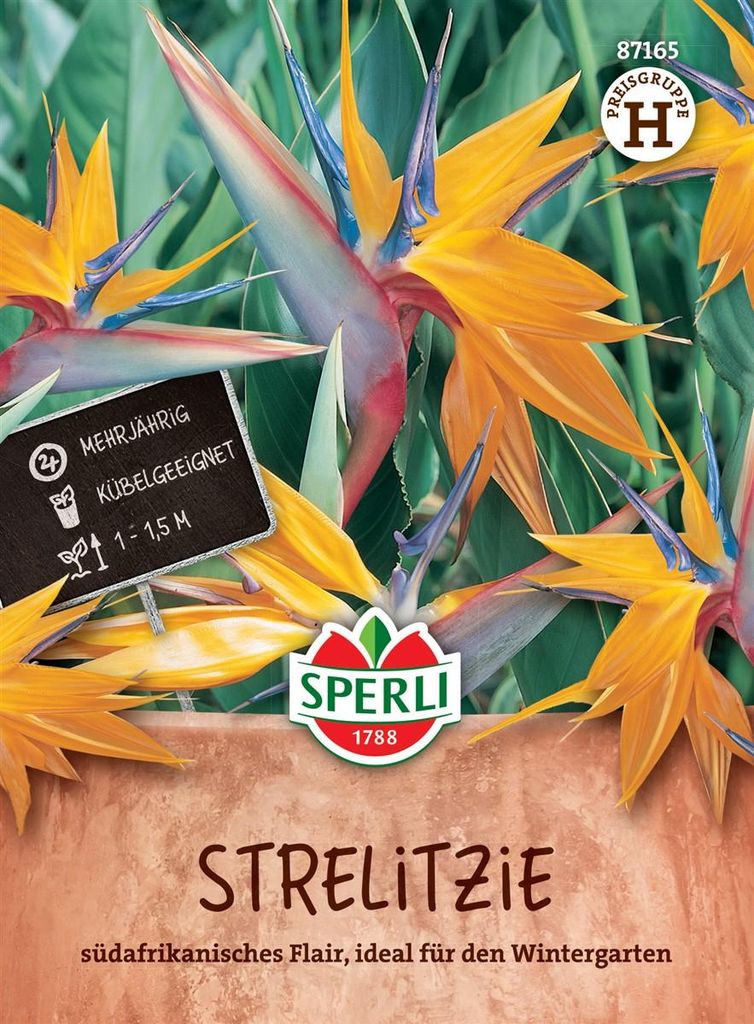 Sperli Strelitzien Paradiesvogelblumen - Blumensamen