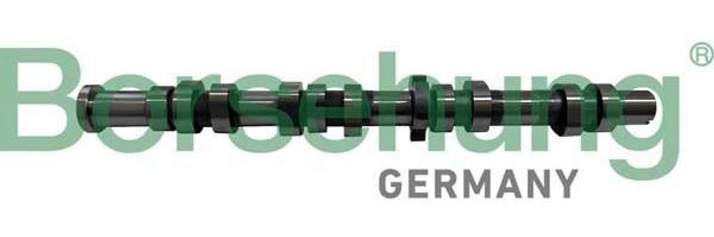 Borsehung B12431 Nockenwelle für VW GOLF VI (5K1) Polo Schrägheck (6R1, 6C1) GOLF PLUS (5M1, 521) Caddy III Kombi (2KB, 2KJ, 2CB, 2CJ) TOURAN (1T3)