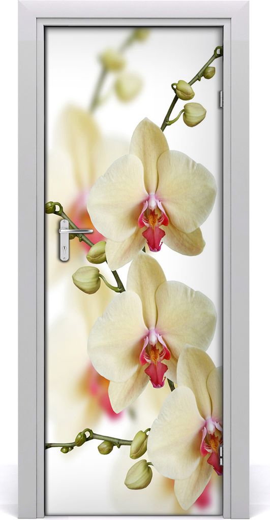 Tulup Türaufkleber 75x205 cm Dekorative Aufkleber Selbstklebend Wasserdichte Tapete Abnehmbar Schlafzimmer Wohnzimmer Wohnkultur - Orchidee Wand