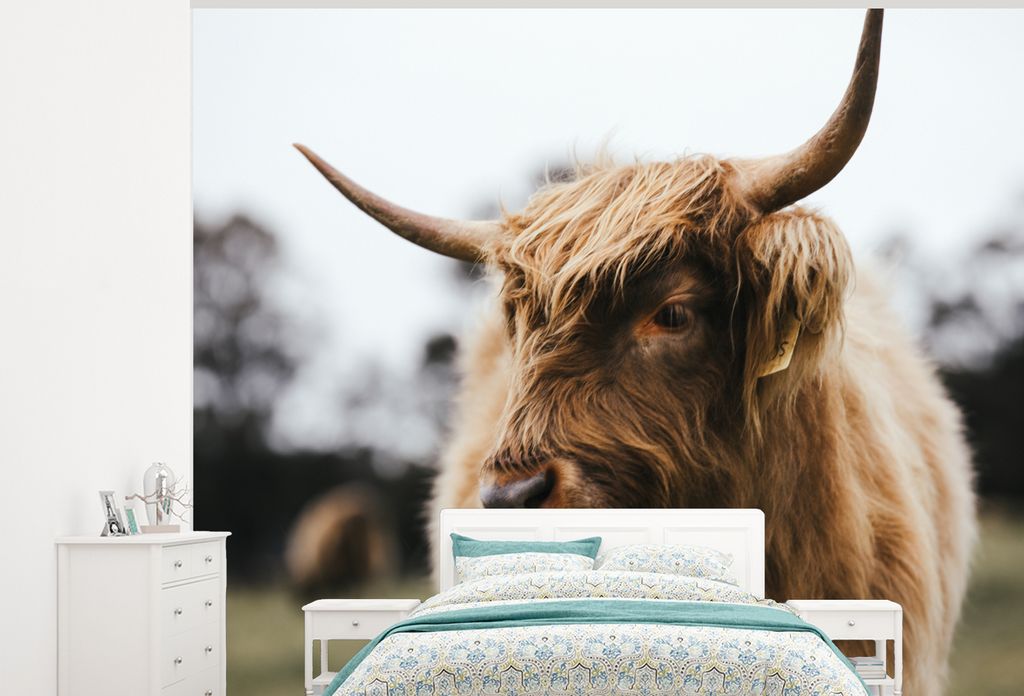 MuchoWow Fototapete für Wohnzimmer oder Schlafzimmer Wandtapete Vinyl Motivtapete Schottischer Highlander - Tiere - Hörner - 375x300 cm - Tapez...