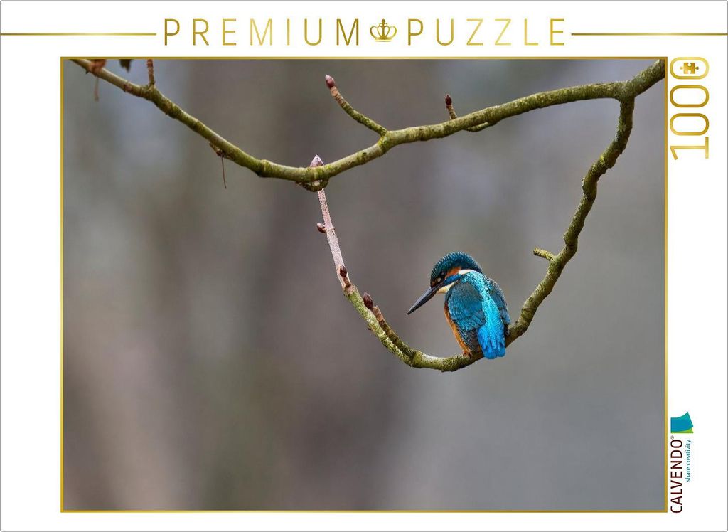CALVENDO Puzzle Mitteleuropäischer Eisvogel an der Ahr | 1000 Teile Lege-Größe 64x48cm Foto-Puzzle für glückliche Stunden
