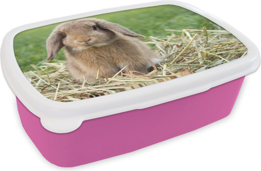 KitchenYeah Lunchbox Brotzeit Brotdose 17x11 cm Kaninchen - Stroh - Tier Kinder Brotzeitdose - Lunchpaket - Brotkasten - Sandwich Box