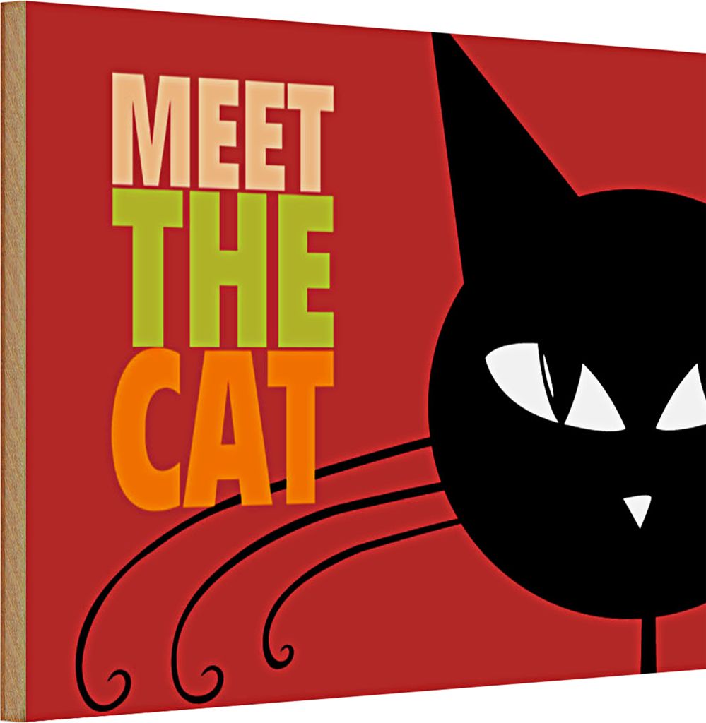 Holzschild Spruch 30x20cm Katze Meet the cat