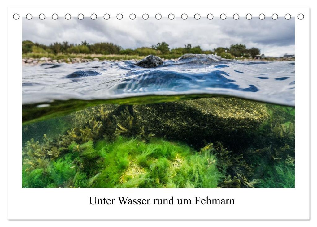 Unter Wasser rund um Fehmarn (Tischkalender 2027 DIN A5 quer), CALVENDO Monatskalender