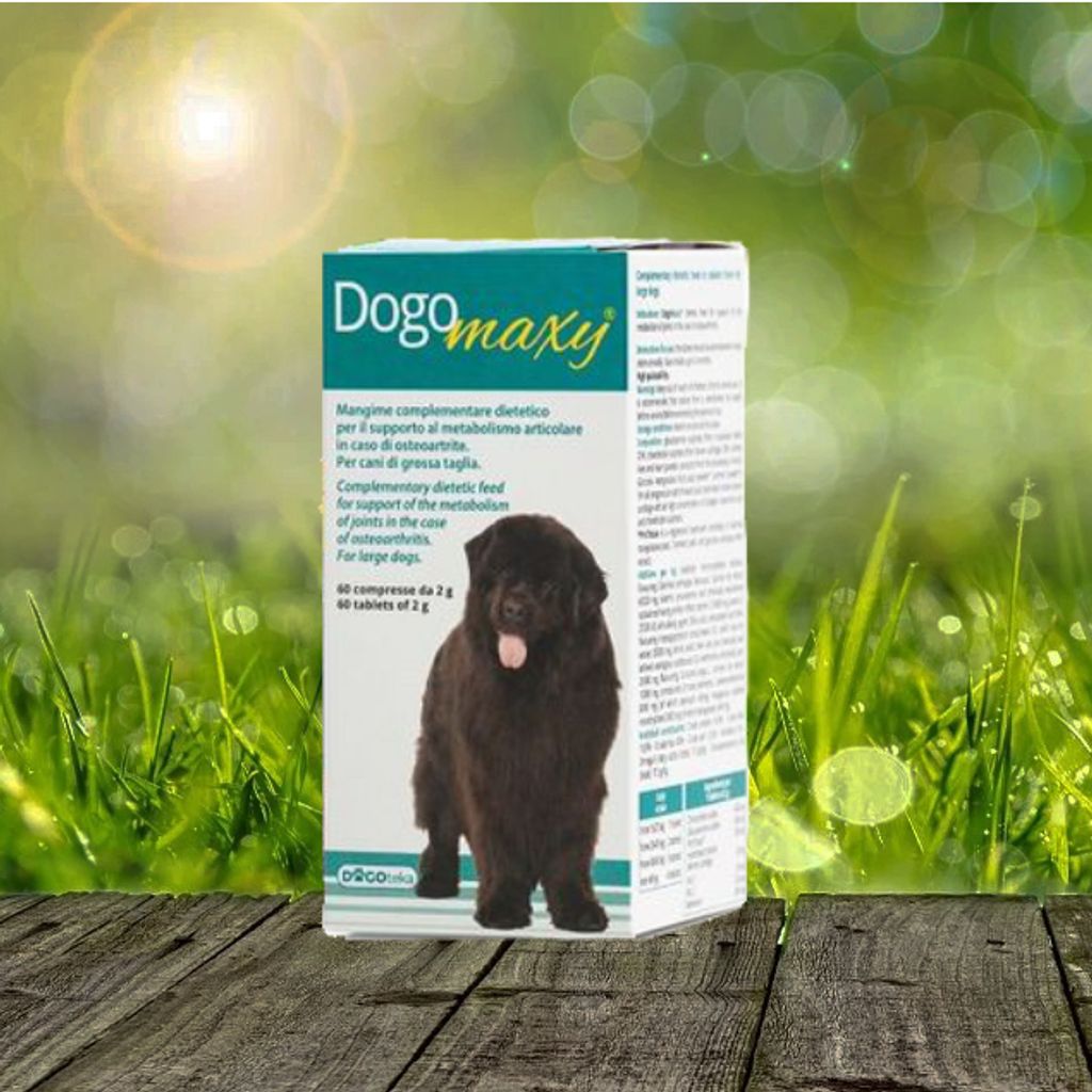 Dogoteka DogoMaxy 60 Tbl. Produktbild 