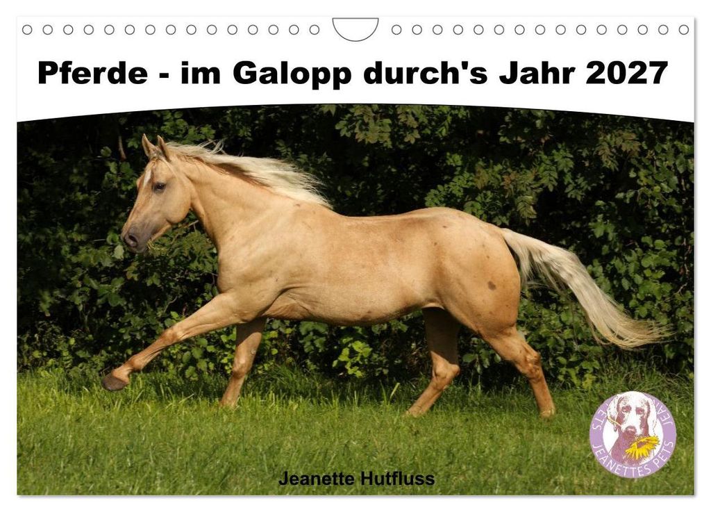 Pferde - im Galopp durch's Jahr 2027 (Wandkalender 2027 DIN A4 quer), CALVENDO Monatskalender