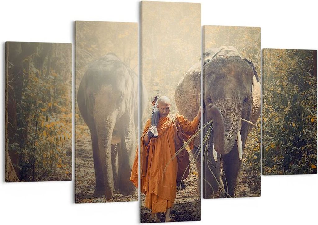 Bild auf Leinwand - Leinwandbild - Elefant Mönch Dschungel Produktbild 