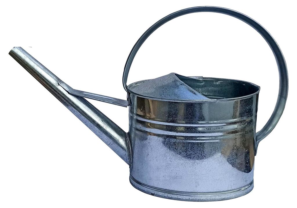 Zinkgießkanne 5L 8L 10L 12L Blumengießkanne Metall feuerverzinkt Silber für Innen- und Außenbereich (8 L)