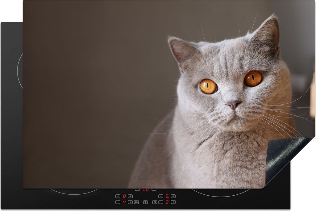 KitchenYeah Herdabdeckplatte Katze - Tiere - Augen , 80x52cm, Küche Deko, Glaskeramikkochfeld Herdabdeckung, Abdeckplatte fùr Kochfeld