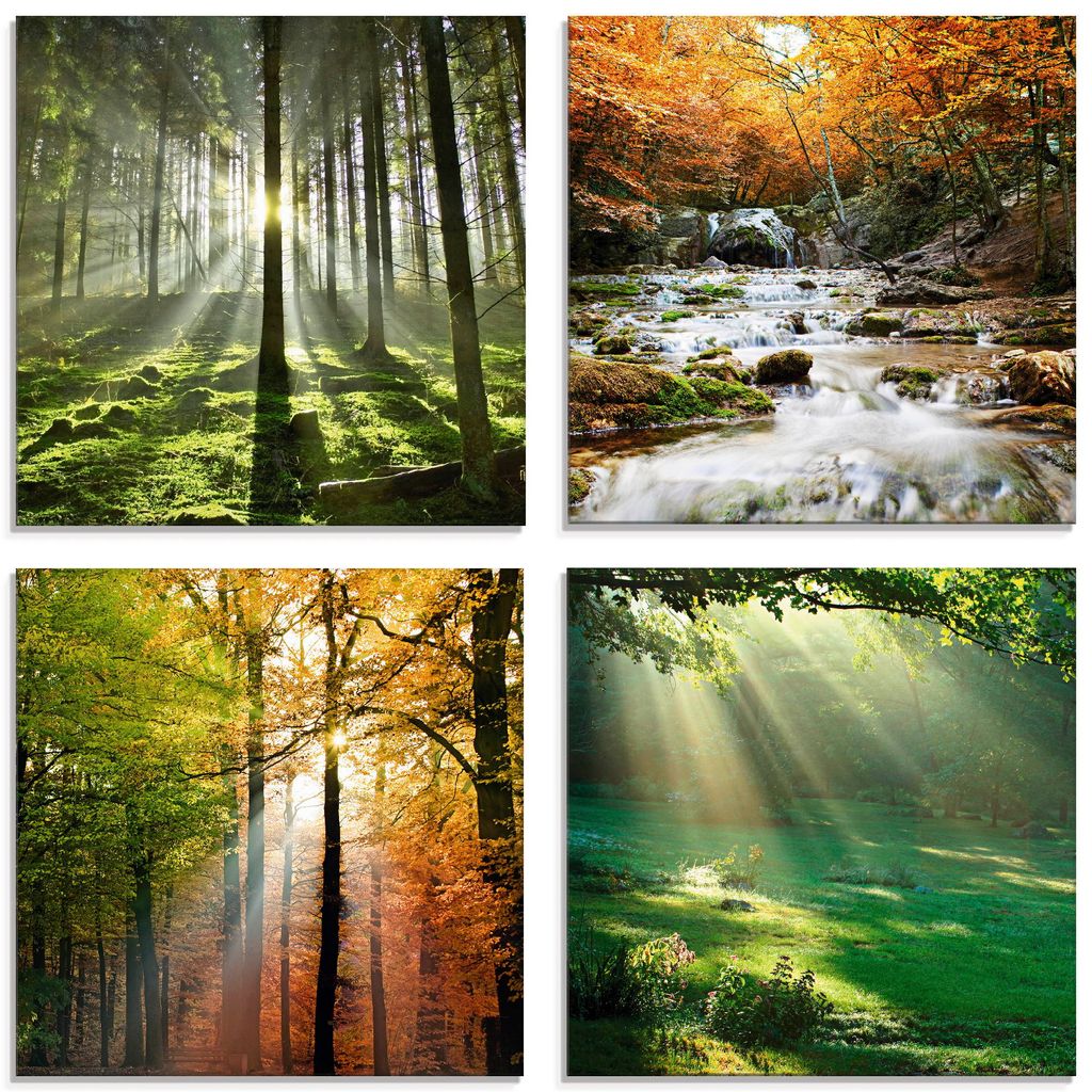 Glasbilder Wandbild Druck auf Glas Sonnenlicht Wald 