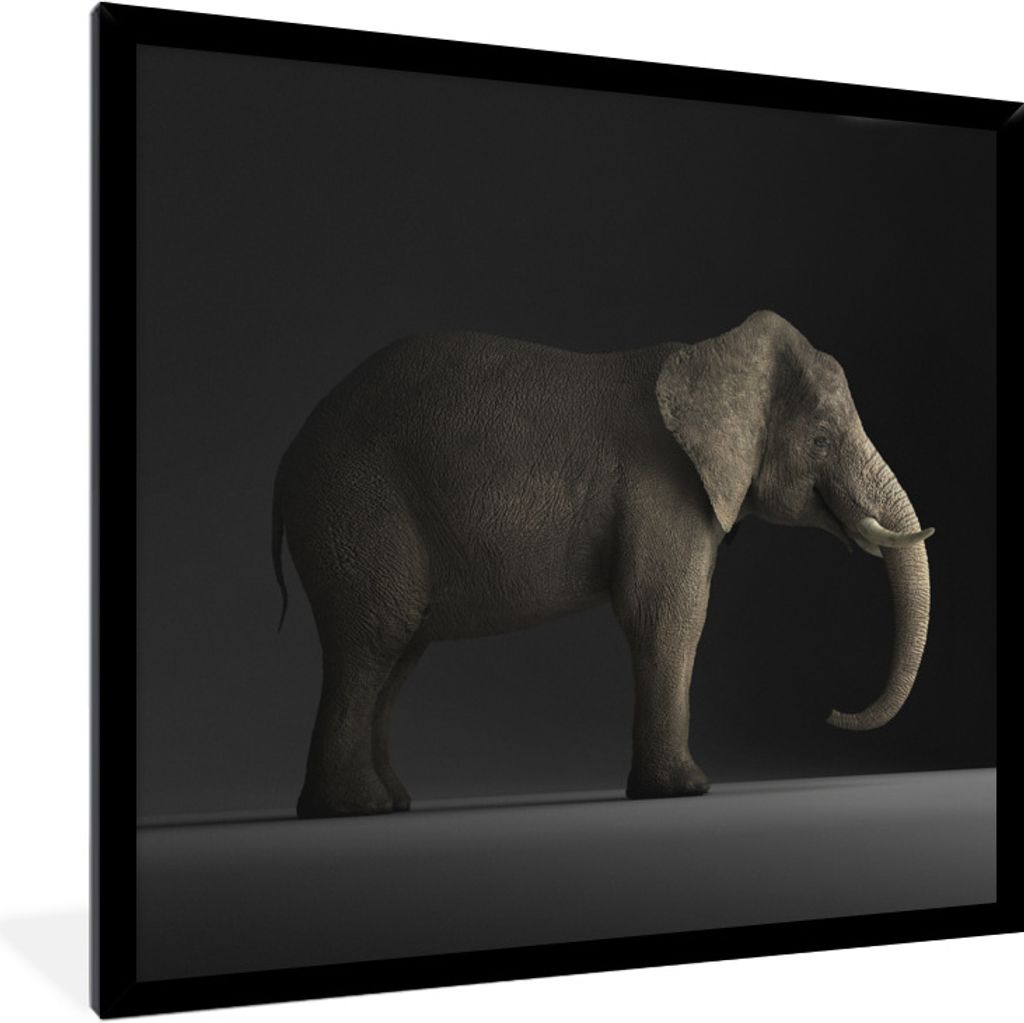 MuchoWow Gerahmtes Poster Elefant - Tiere - Licht 40x40 cm - Poster mit Schwarzem Bilderrahmen Wandposter Rahmen Foto Bilder