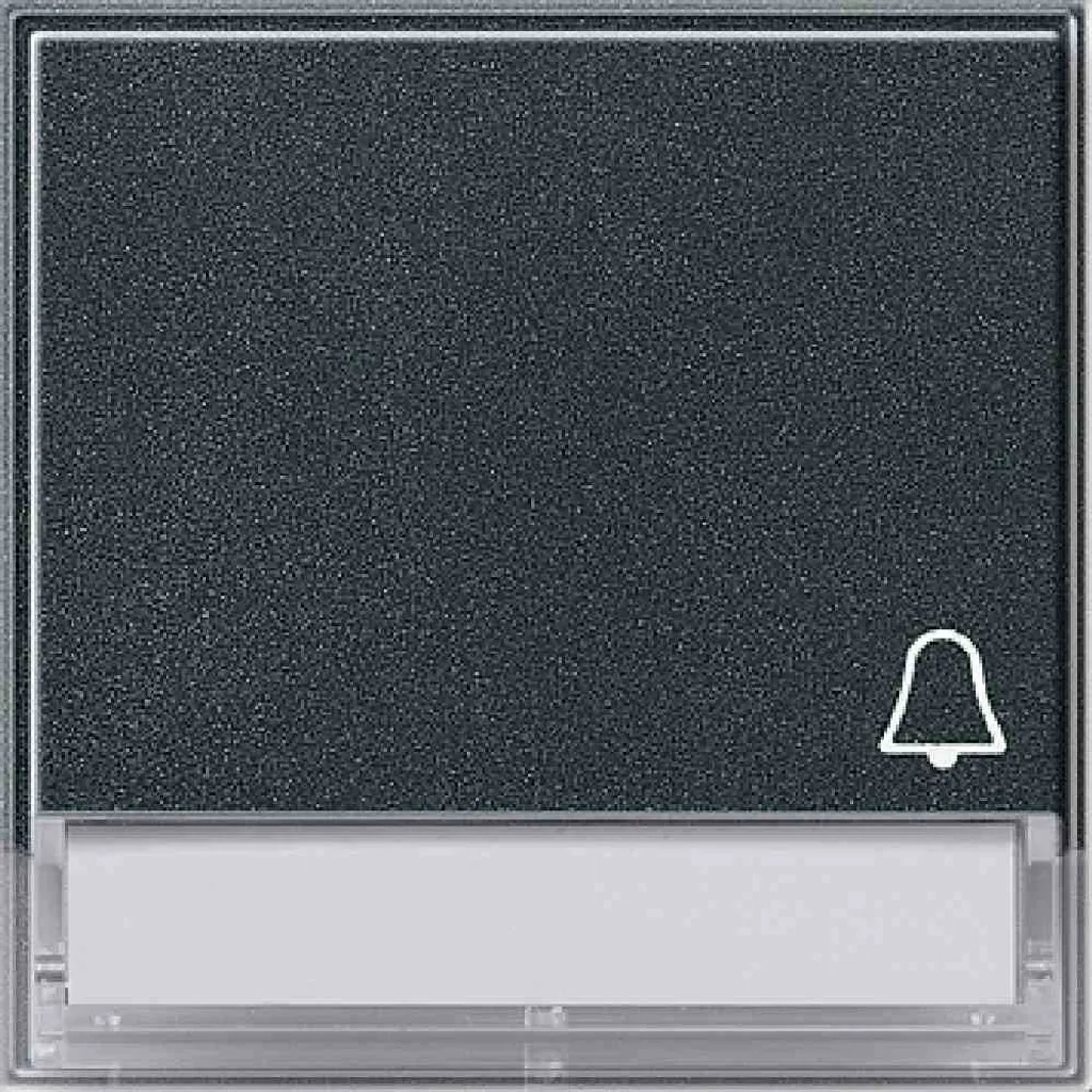 Bouton de Sonnette Anthracite Gira TX44 avec Espace de Marquage Nom