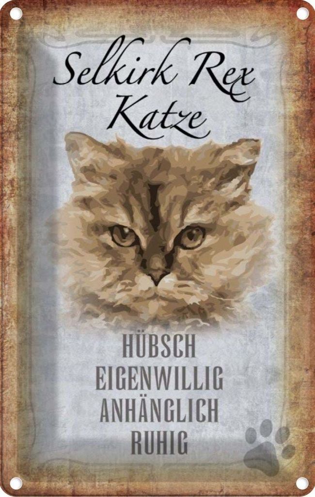 vianmo Blechschild 18x12 cm Selkirk Rex Katze ruhig Tier Haustier