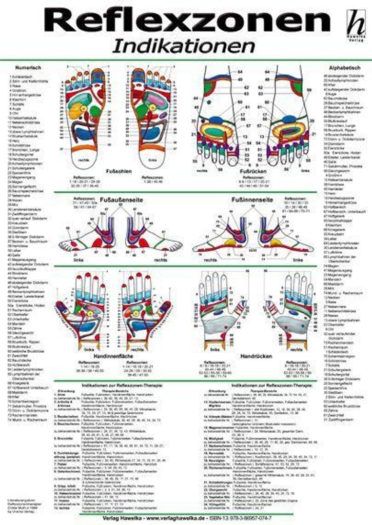 Reflexzonen-Therapie Mini-Poster - Indikationen DIN A4 Produktbild 