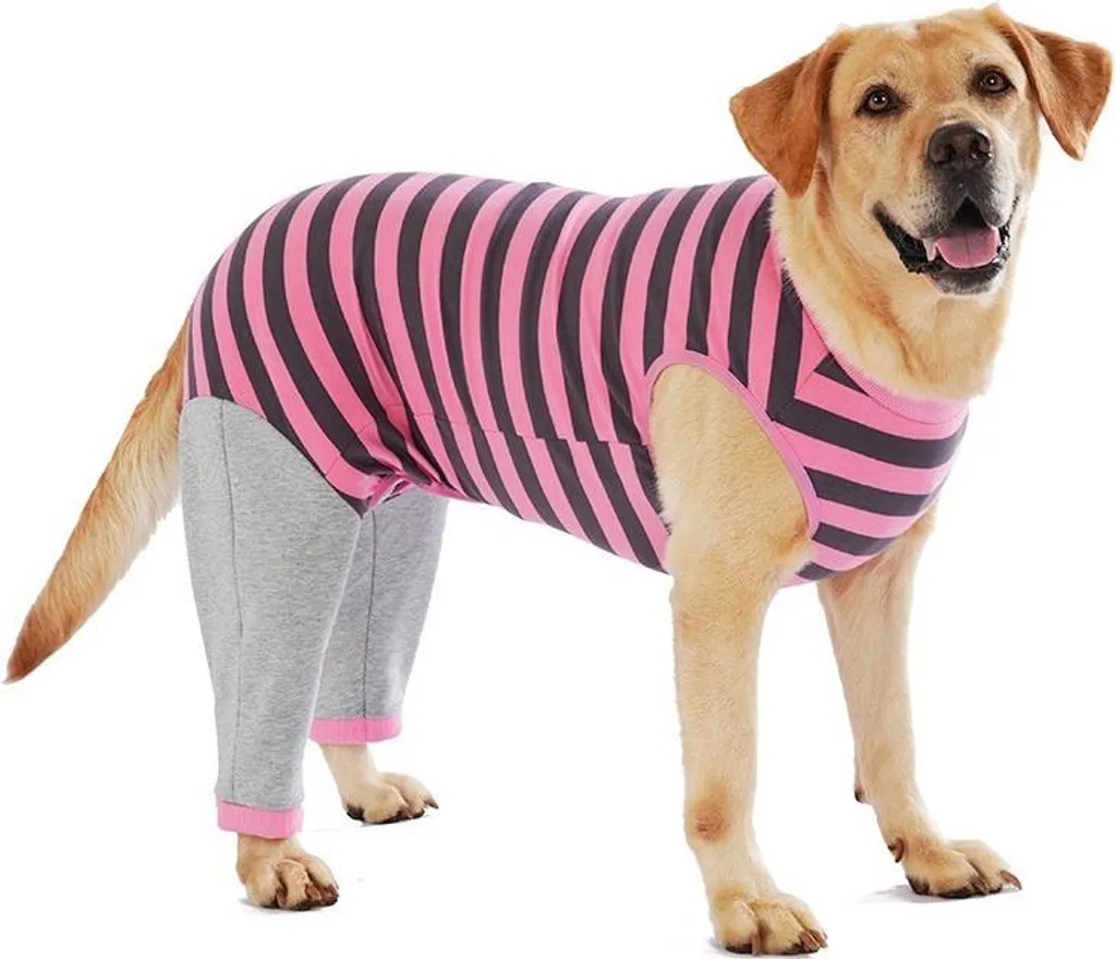 Cappottino Termico Rosa L per Cani Corgi - Protezione INF Autunno