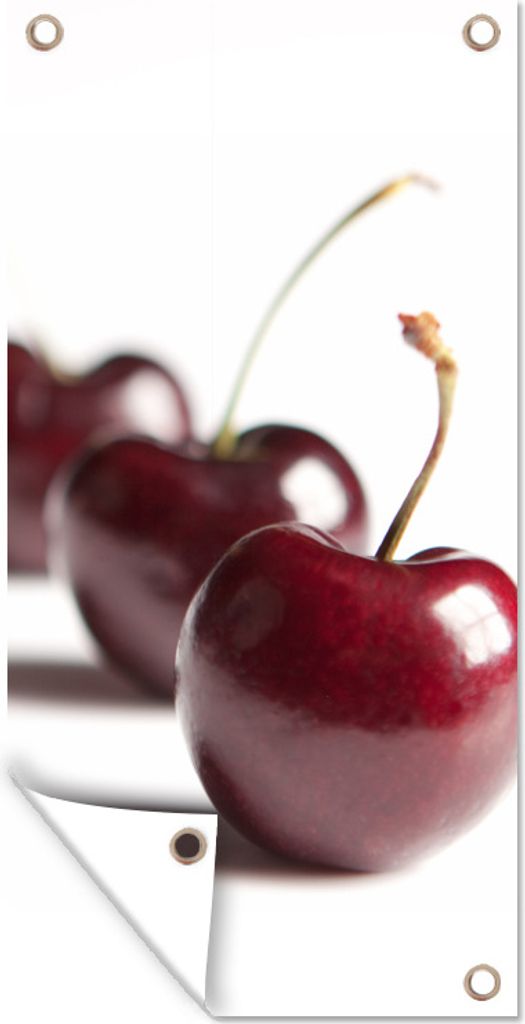 MuchoWow 40x80 cm Outdoor-Poster Gartendeko Sichtschutz Garten Poster für den Garten Kirschen - Weiß - Obst