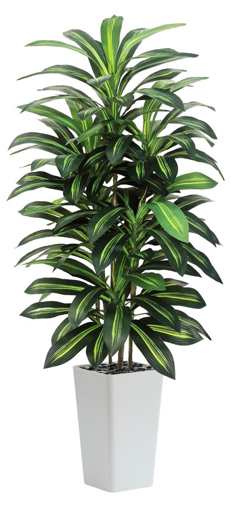 Künstlicher Drachenbaum, 150 cm hoch, große künstliche Produktbild 