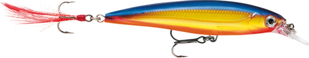 Rapala Wobbler X-Rap Süßwasser (HS) Länge cm: 10