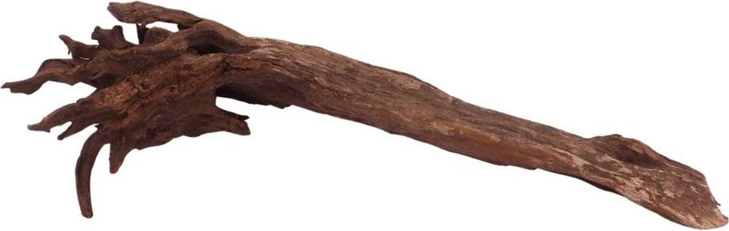 L Driftwood Flußwurzel Nr.3899 Holz Deko Aquascaping